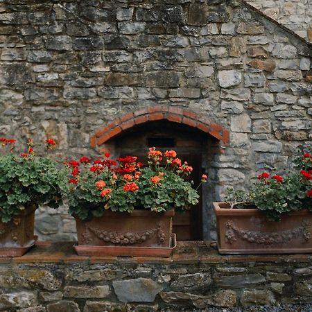 Il Cascino Casa de hóspedes Greve in Chianti Exterior foto