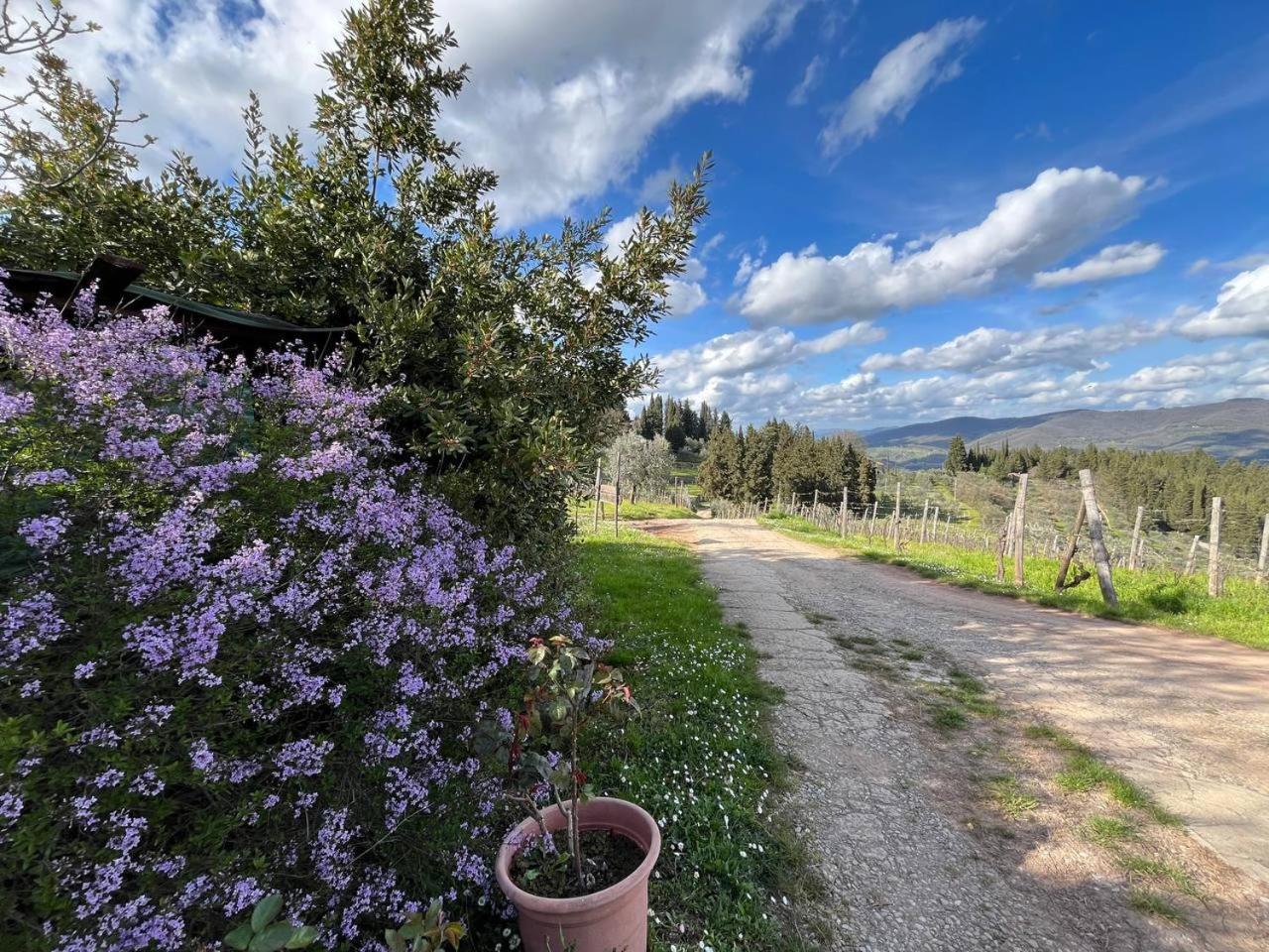 Il Cascino Casa de hóspedes Greve in Chianti Exterior foto