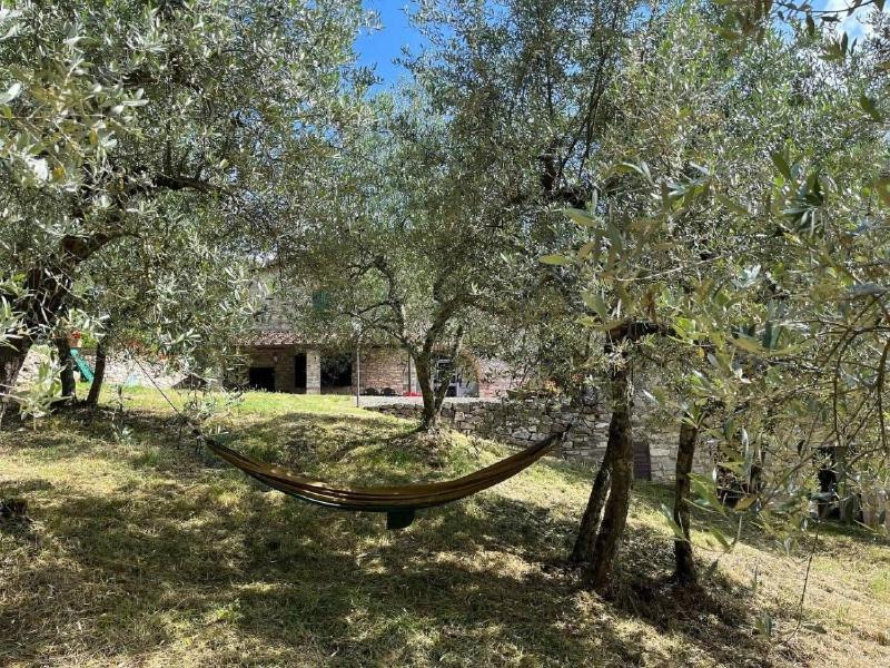 Il Cascino Casa de hóspedes Greve in Chianti Exterior foto