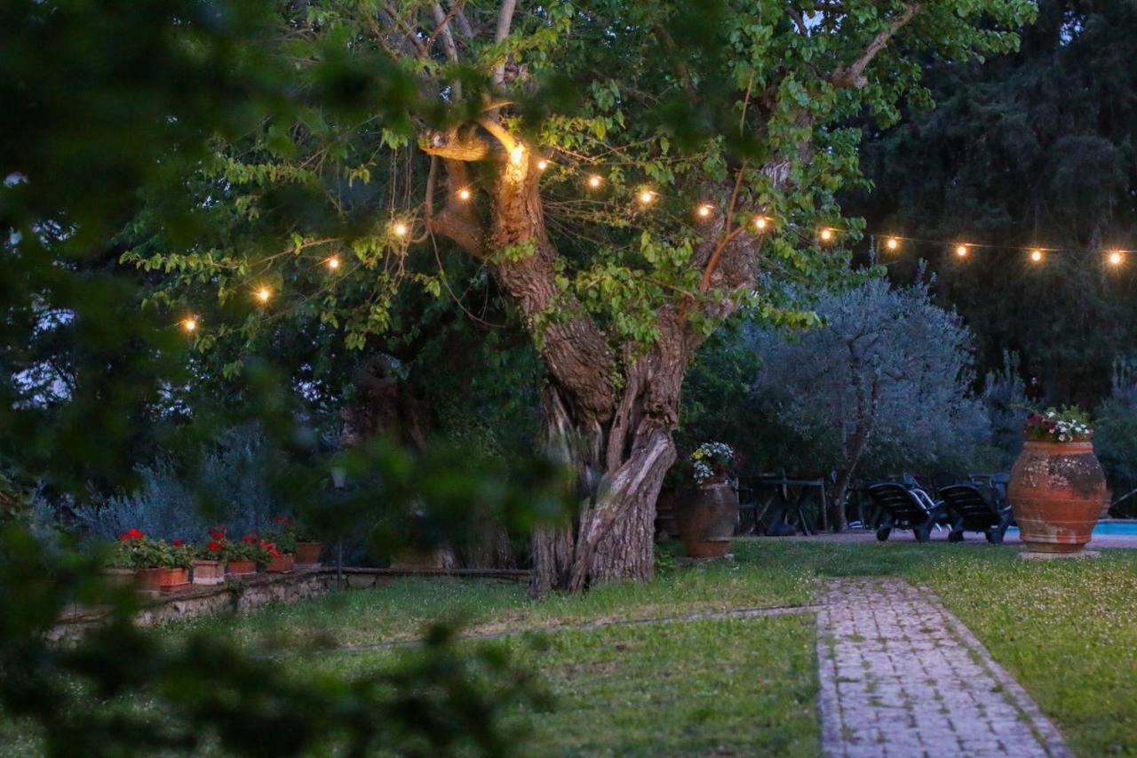 Il Cascino Casa de hóspedes Greve in Chianti Exterior foto