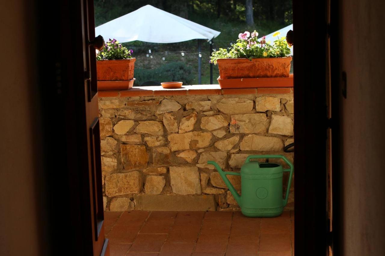 Il Cascino Casa de hóspedes Greve in Chianti Exterior foto